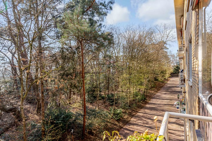 Foto 31 van Prinses Marijkelaan 28-1