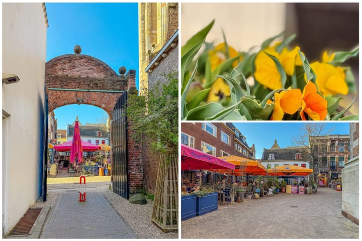 Foto 25 van Domstraat 7-A