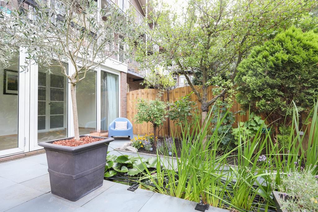 Foto 21 van Hectorstraat 36-H