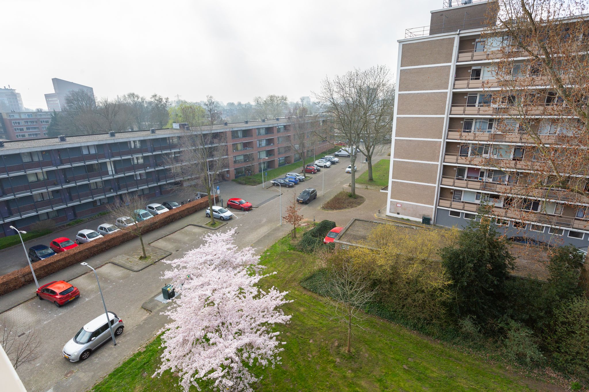 Photo 27 of Zwedenburg 364