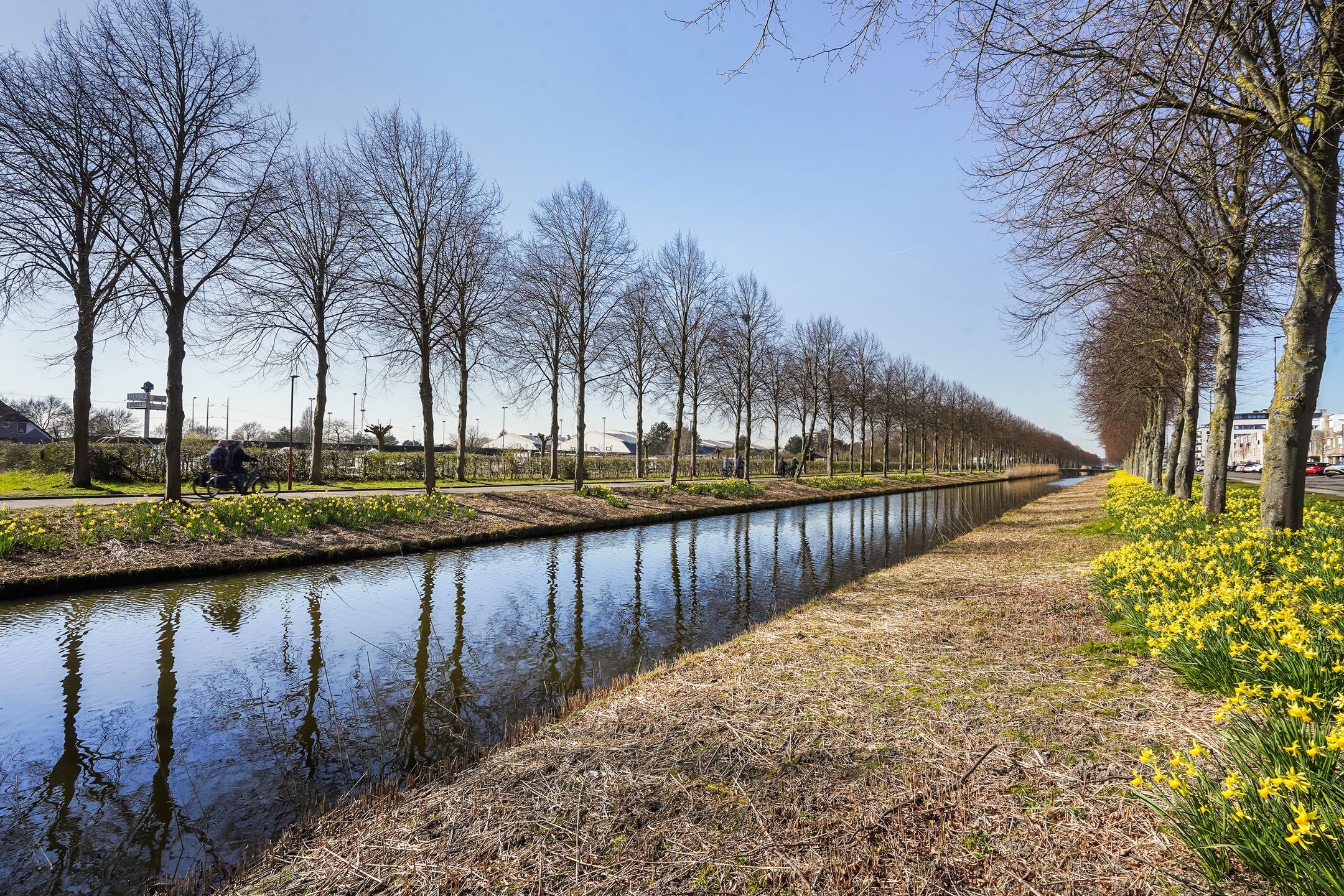 Foto 33 van Spectrumsingel 195