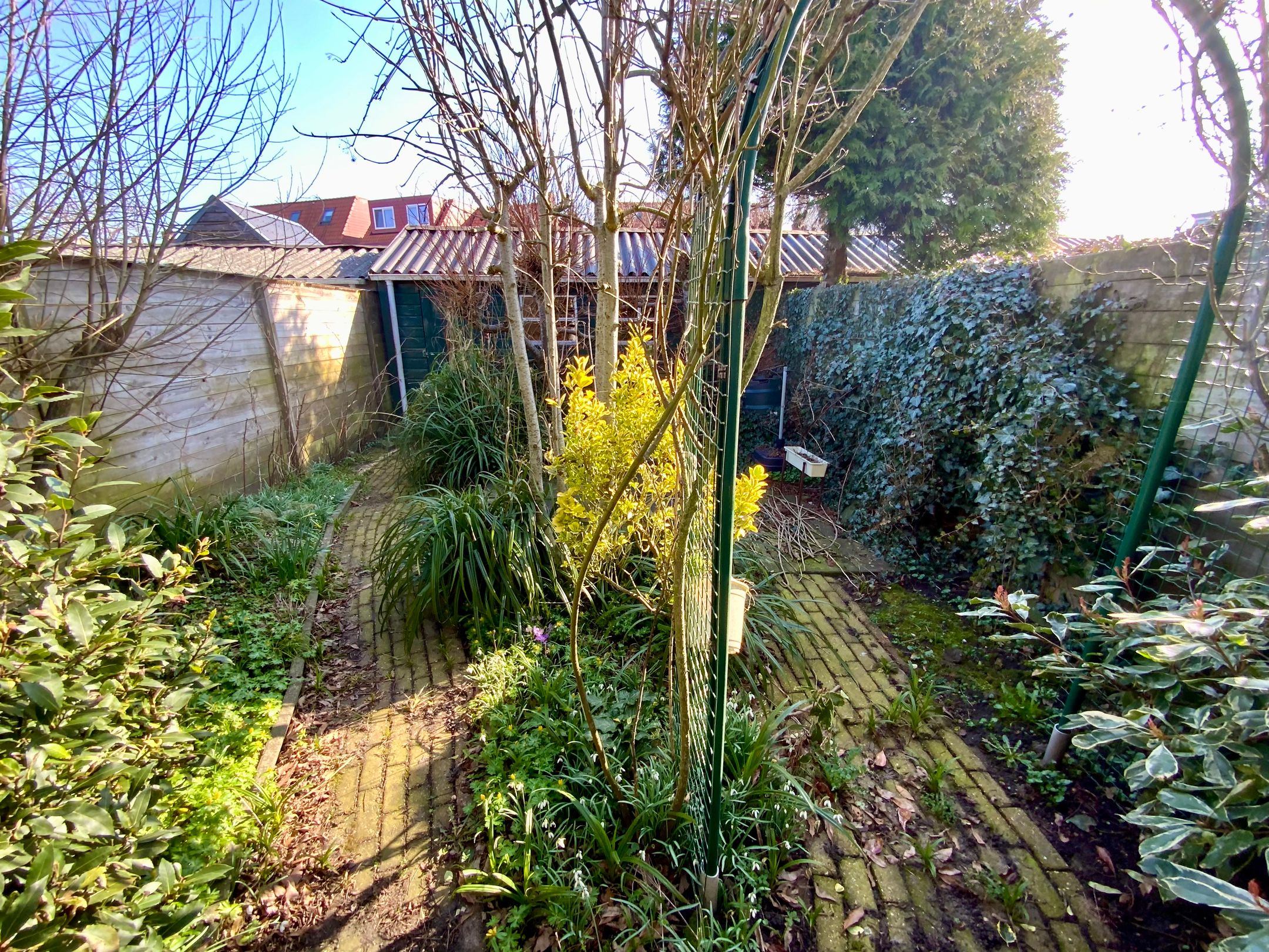 Foto 18 van Jacob Marisstraat 17