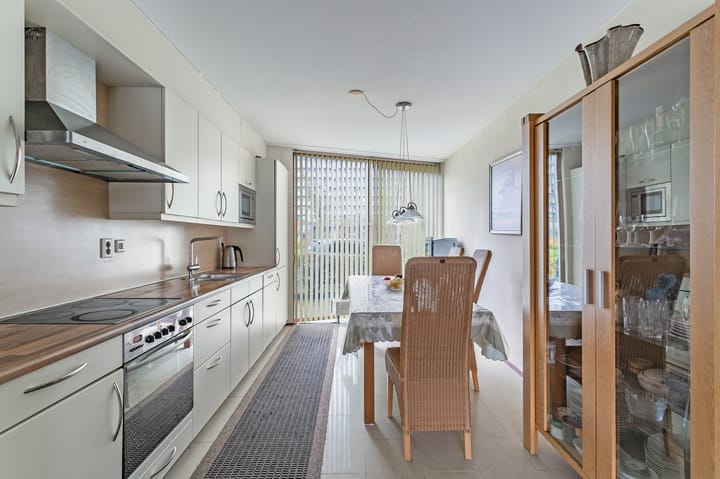 Foto 3 van Lontarpalmstraat 41