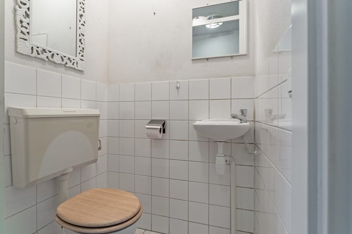 Foto 12 van Lontarpalmstraat 41