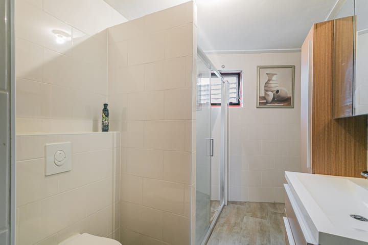 Foto 14 van Lontarpalmstraat 41