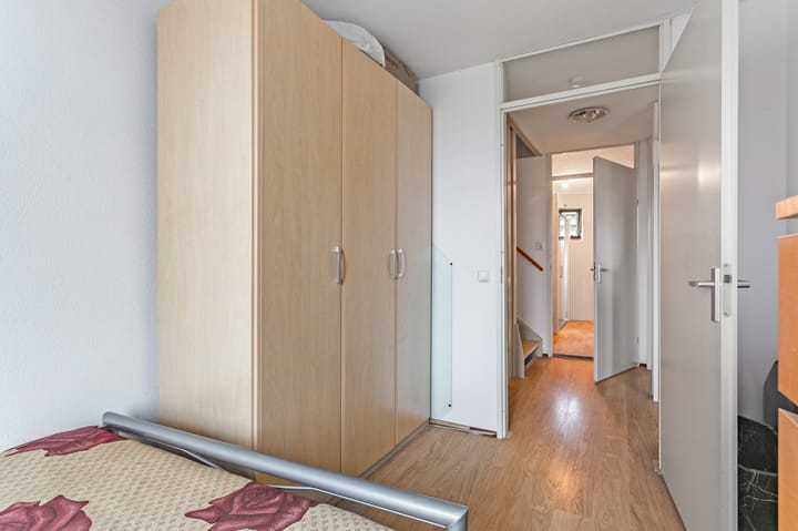 Foto 21 van Lontarpalmstraat 41