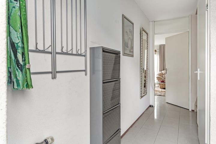 Foto 11 van Lontarpalmstraat 41