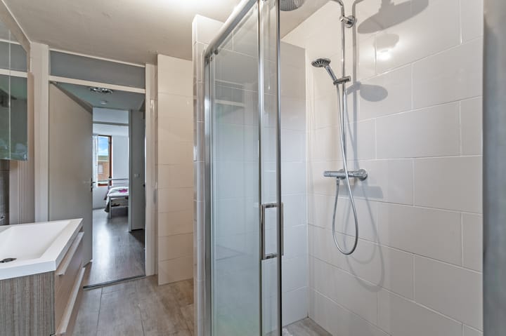 Foto 17 van Lontarpalmstraat 41