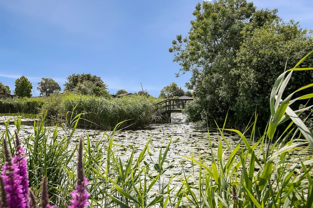 Foto 37 van Eilandseweg 32-C190