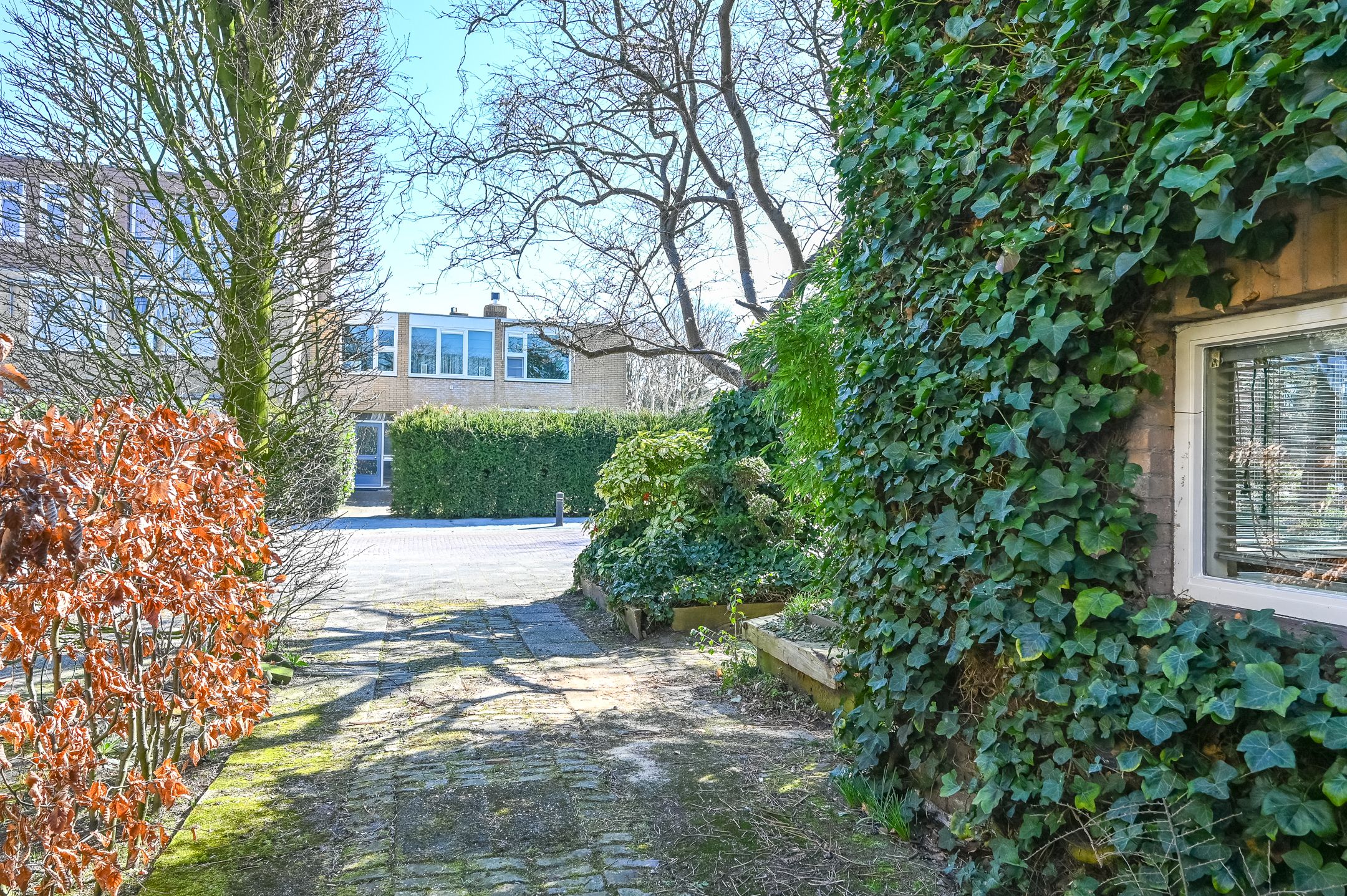 Foto 39 van Einthovenlaan 17