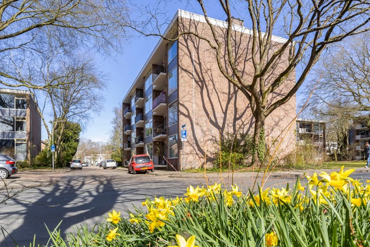 Foto 28 van Eykmanstraat 2