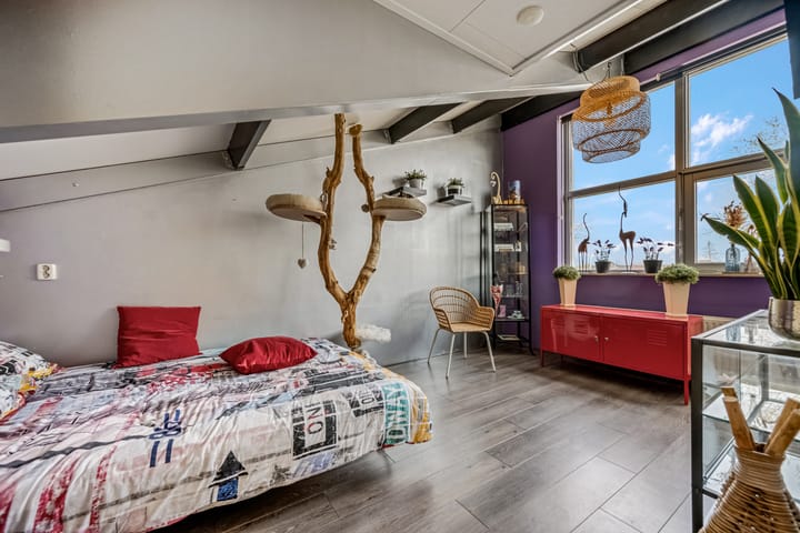 Foto 35 van Gargouille 21