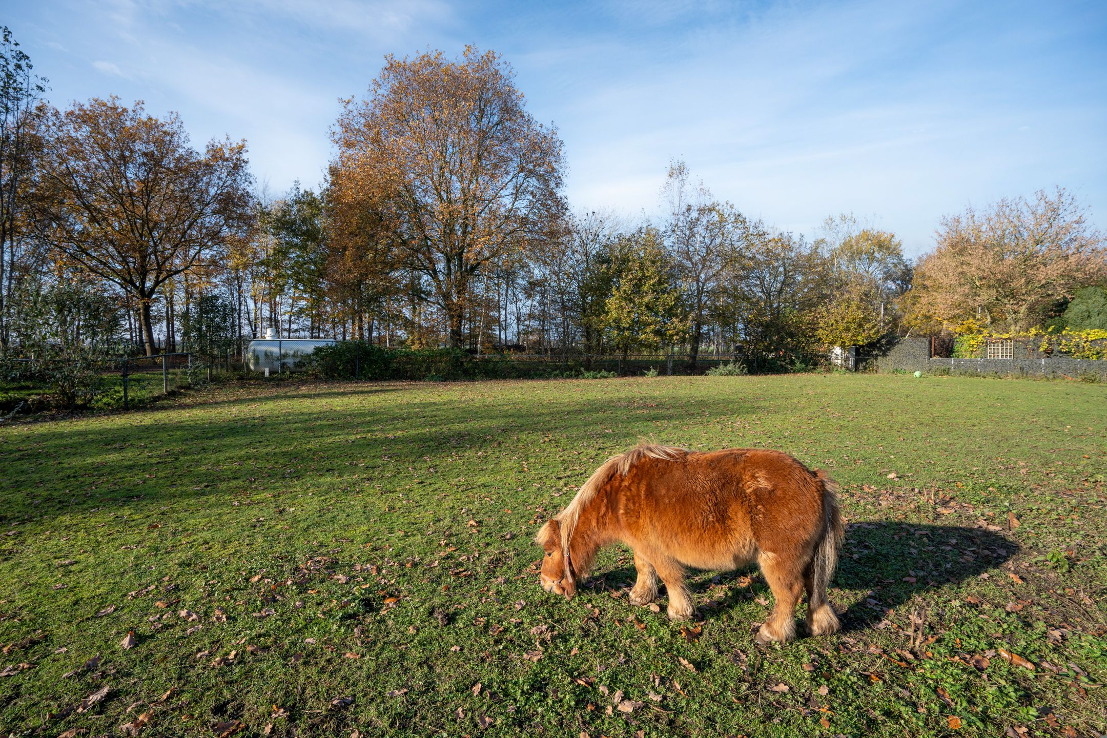 Foto 18 van Kanaal O.Z. 19-1