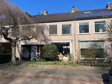 undefined main image