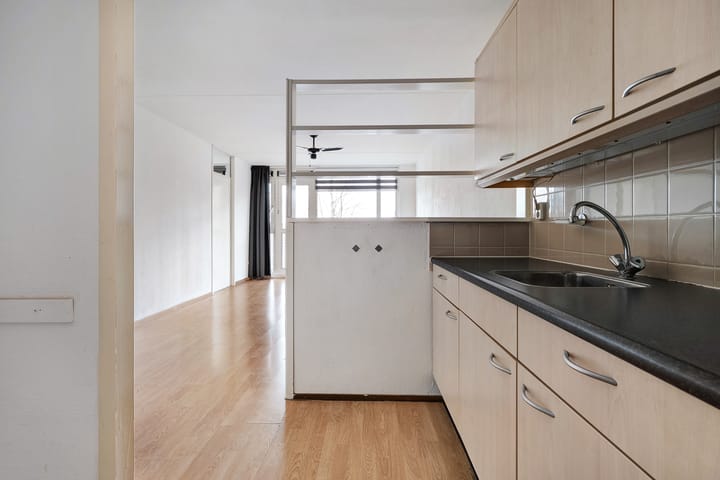 Foto 10 van de Swaenenborgh 64