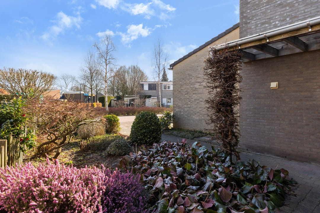 Foto 28 van Ereprijs 10