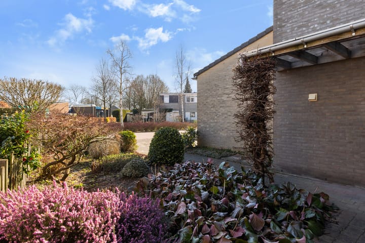 Foto 28 van Ereprijs 10