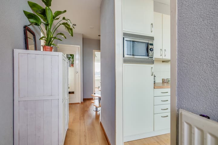 Foto 5 van Plesmanlaan 52-2