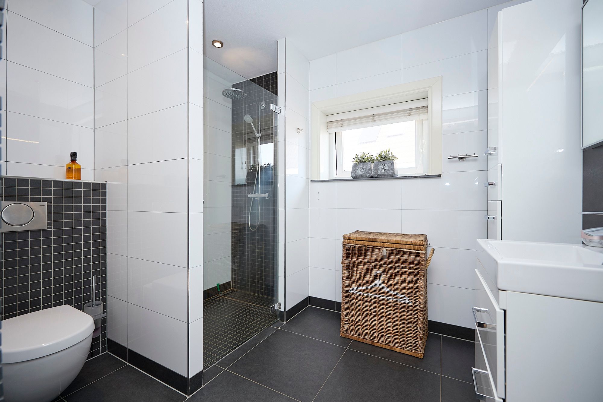 Foto 12 van Kraanvogel 12