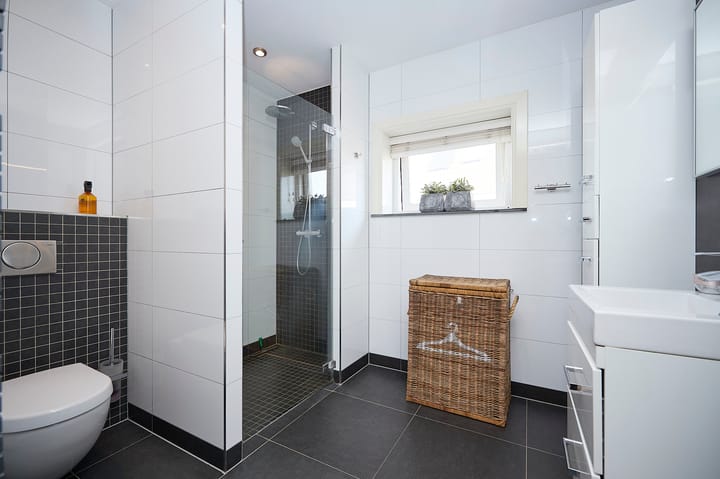 Foto 12 van Kraanvogel 12