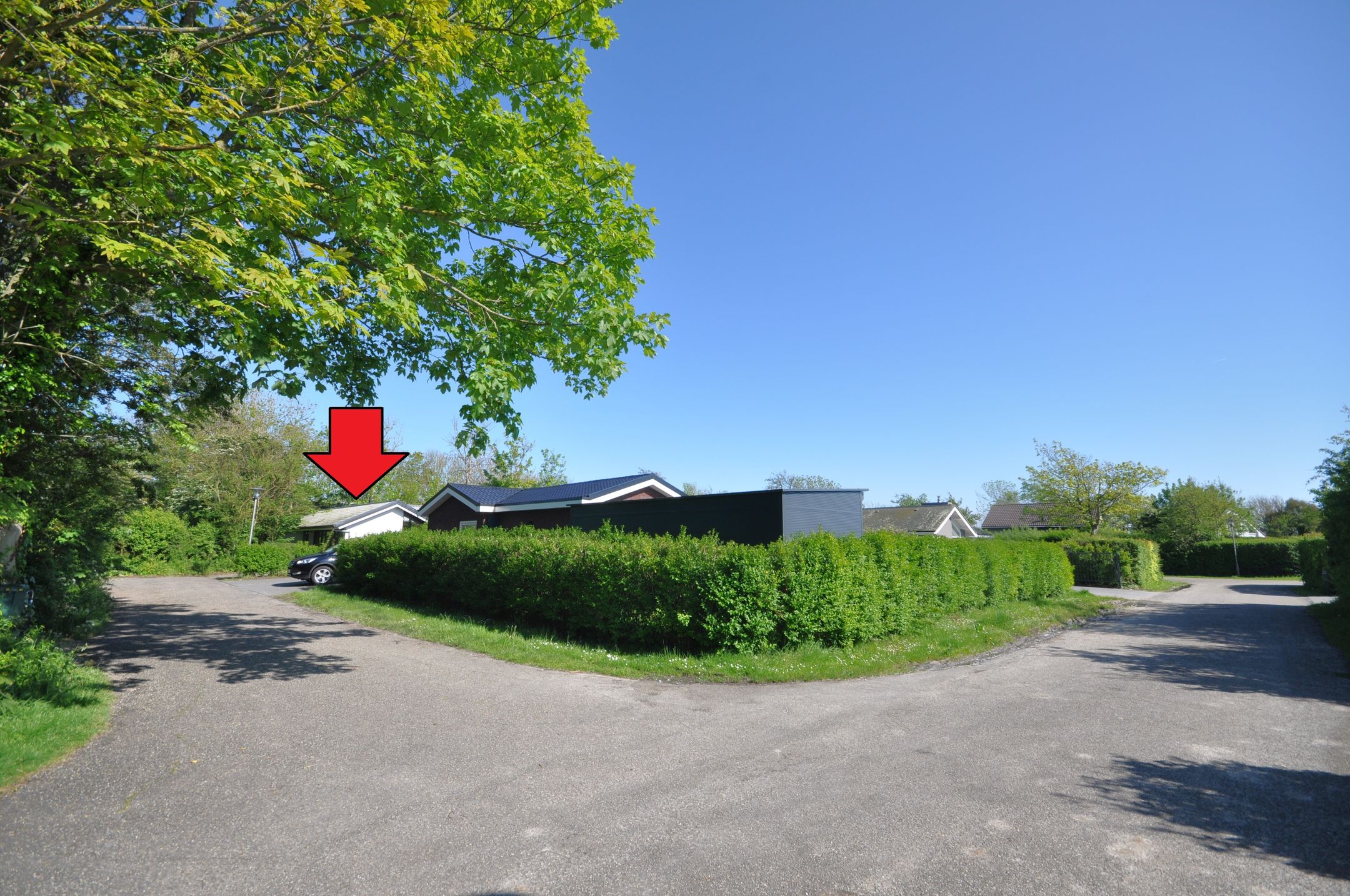 Photo 3 of Springvloed 25