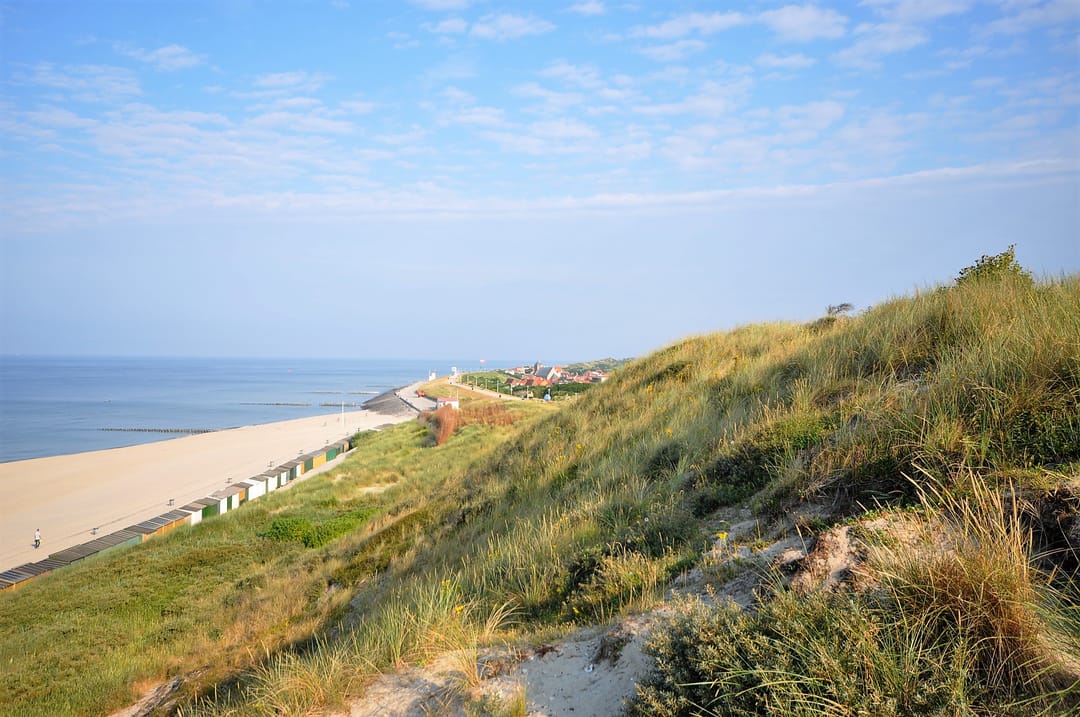 Photo 37 of Springvloed 25