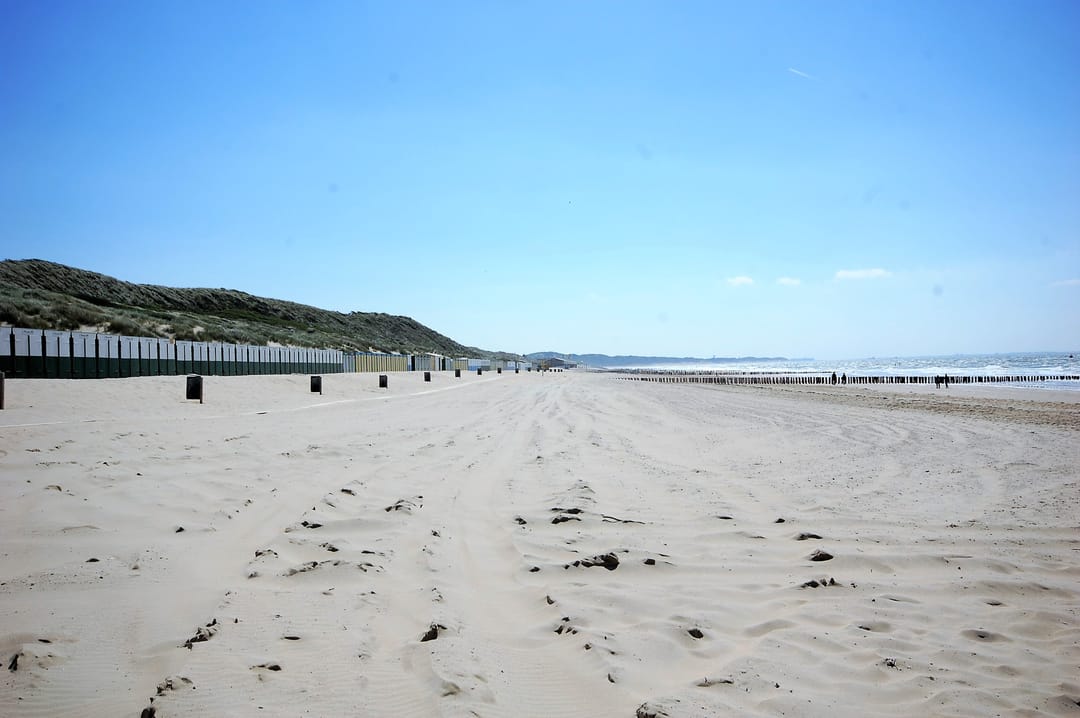 Photo 38 of Springvloed 25