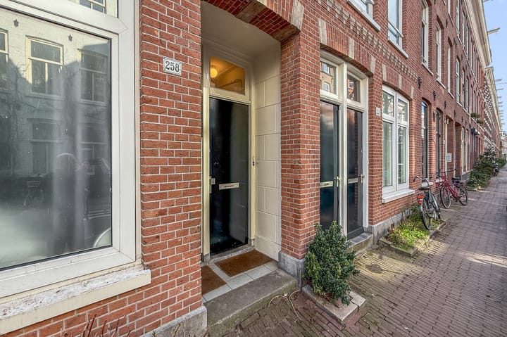 Foto 2 van Govert Flinckstraat 258-2