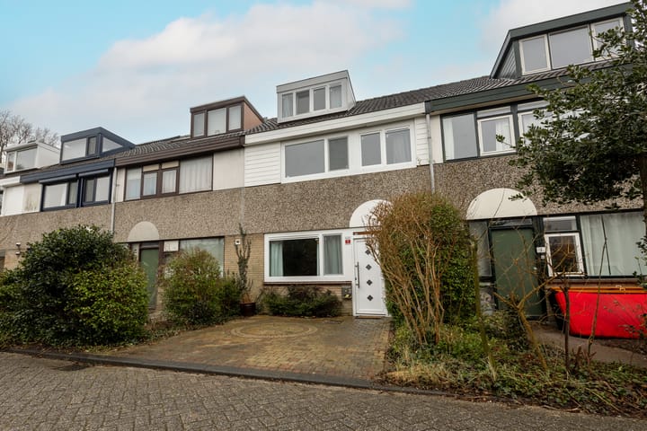 Foto 2 van Petuniadal 2