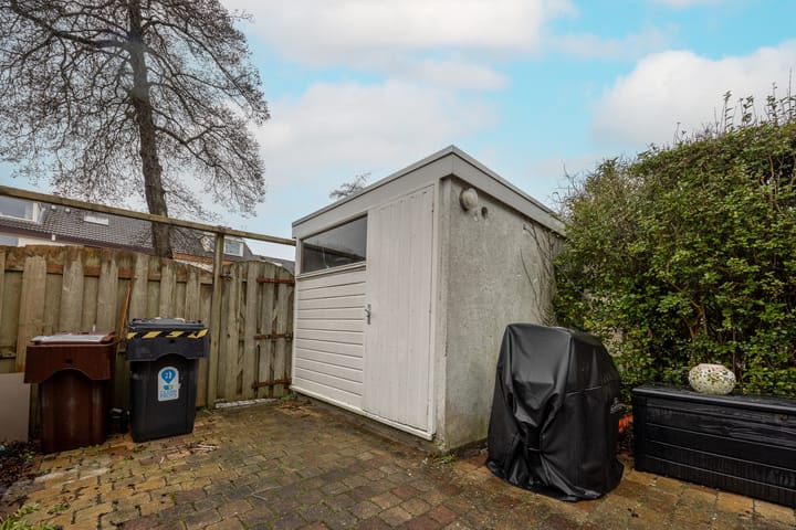 Photo 11 of Petuniadal 2