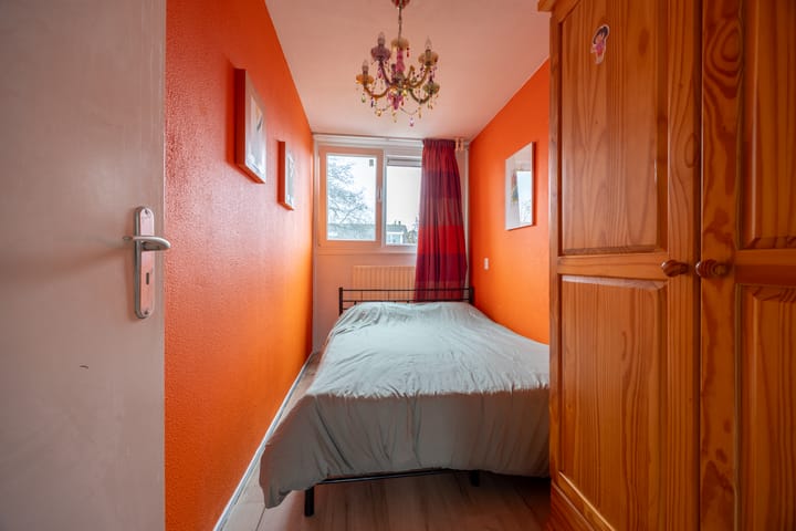 Photo 19 of Petuniadal 2