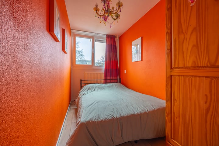 Photo 20 of Petuniadal 2