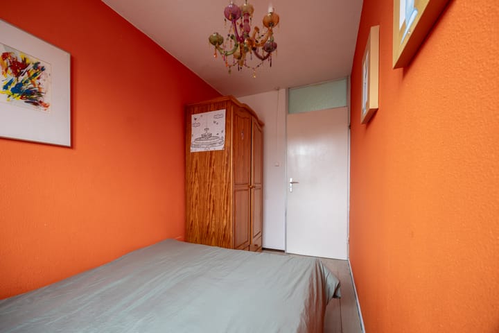 Photo 21 of Petuniadal 2