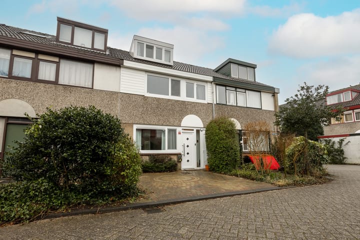 Photo 39 of Petuniadal 2