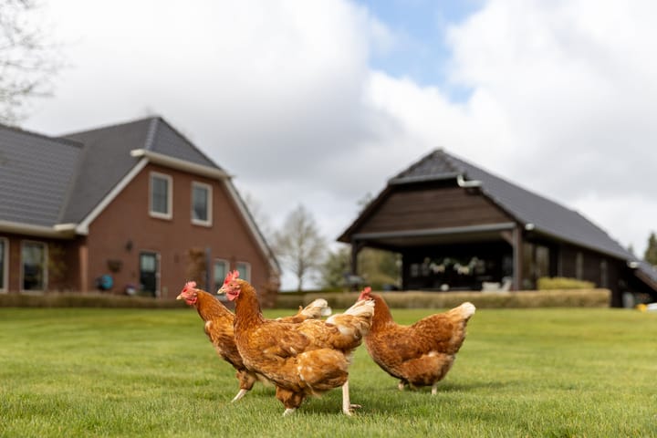 Foto 44 van Slochterdijk 50