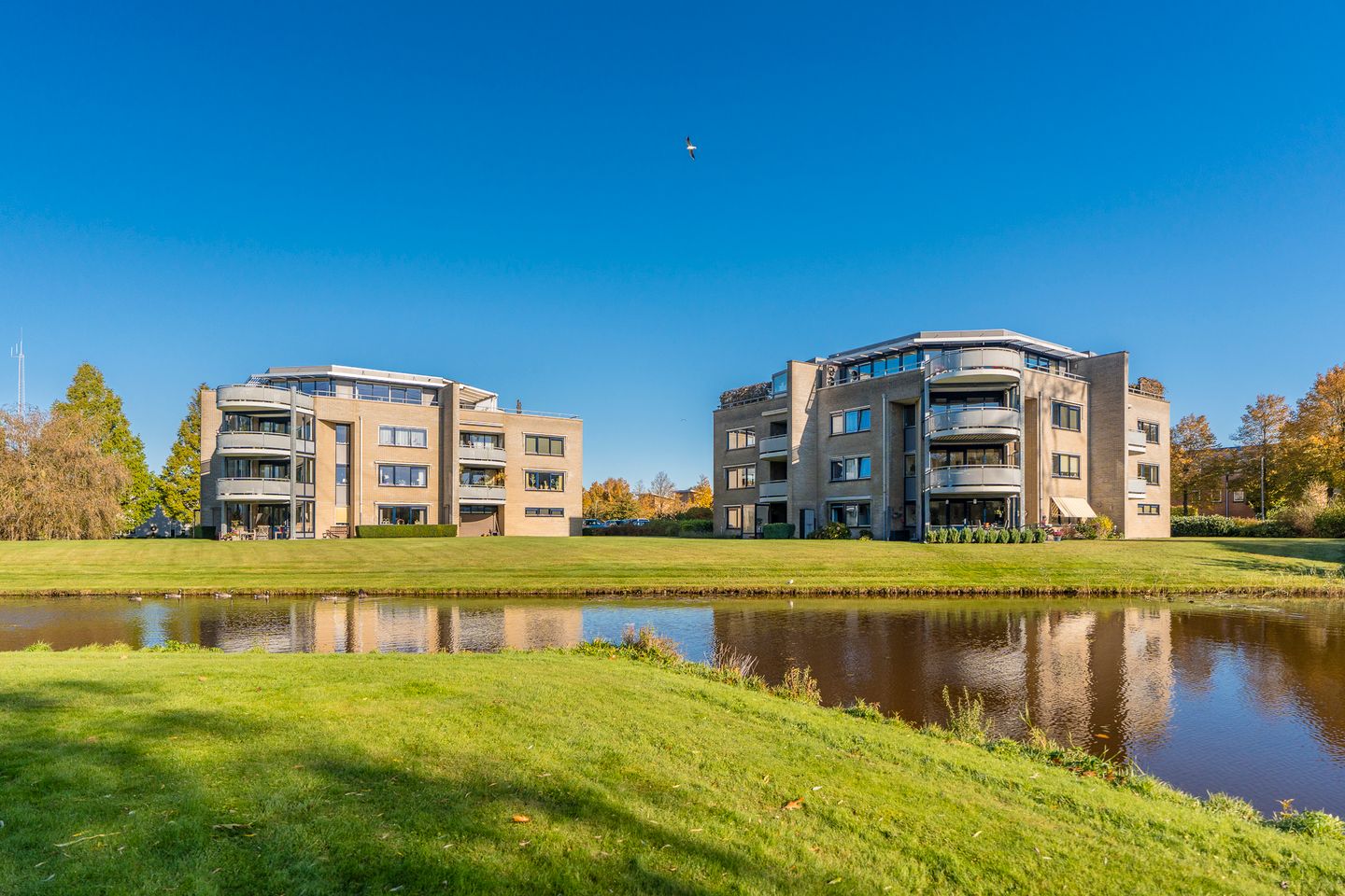 Foto 5 van Lindenlaan 50