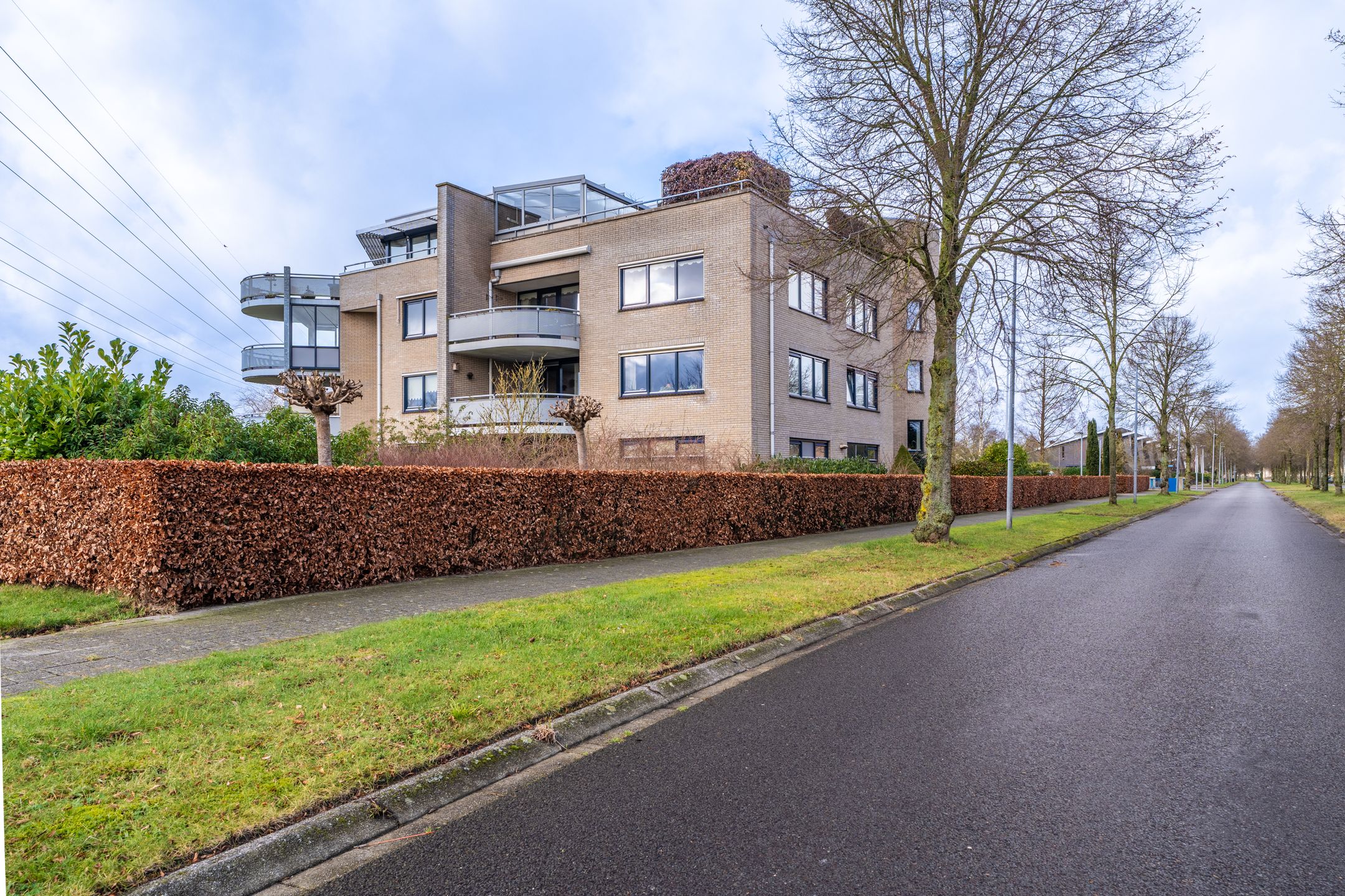 Foto 6 van Lindenlaan 50