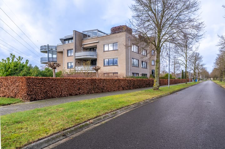 Foto 6 van Lindenlaan 50