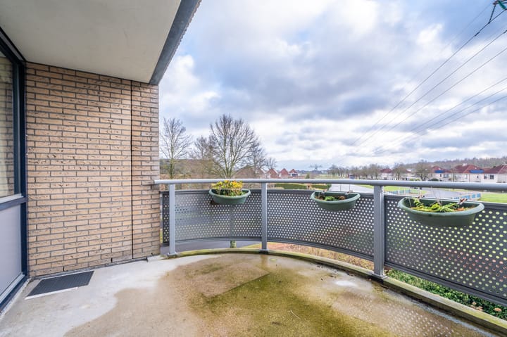 Foto 29 van Lindenlaan 50