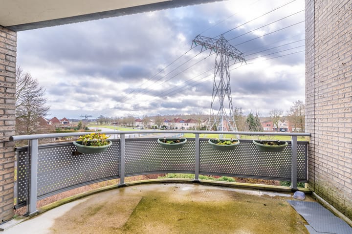 Foto 30 van Lindenlaan 50