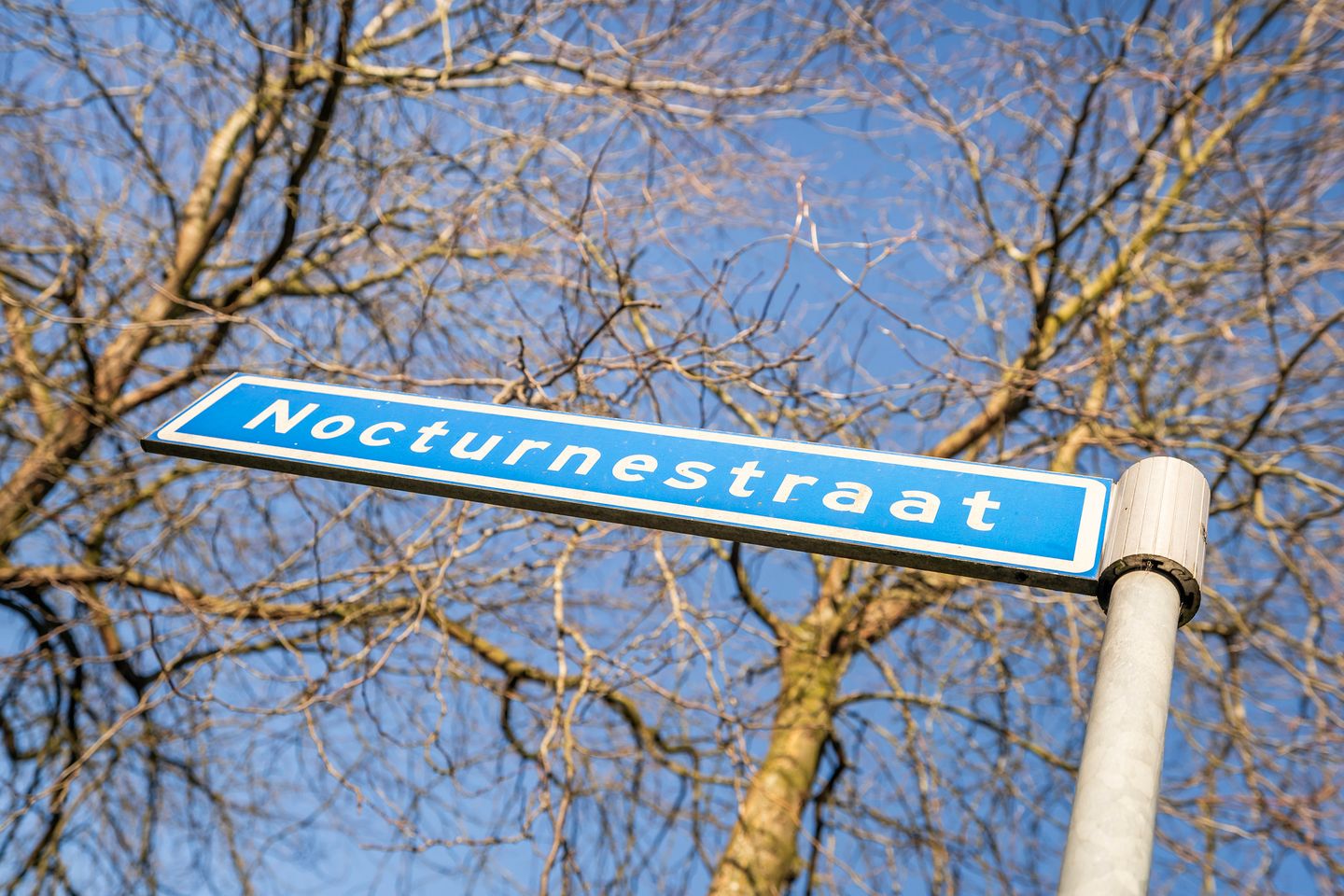 Foto 25 van Nocturnestraat 4