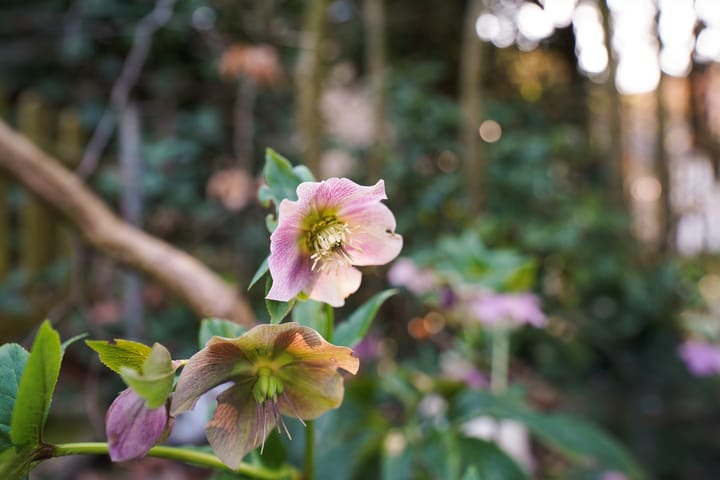 Foto 49 van Stationsstraat 63-A