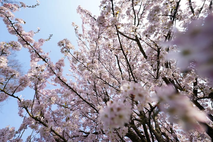 Foto 51 van Stationsstraat 63-A