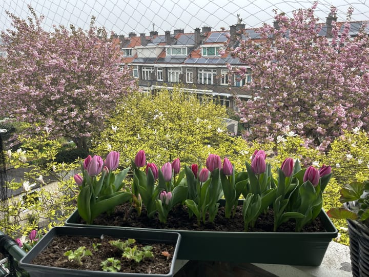 Foto 2 van Thorbeckelaan 545