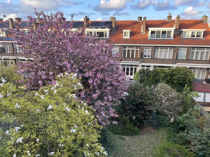 Foto 32 van Thorbeckelaan 545