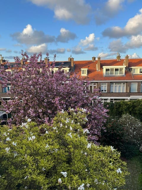 Foto 35 van Thorbeckelaan 545