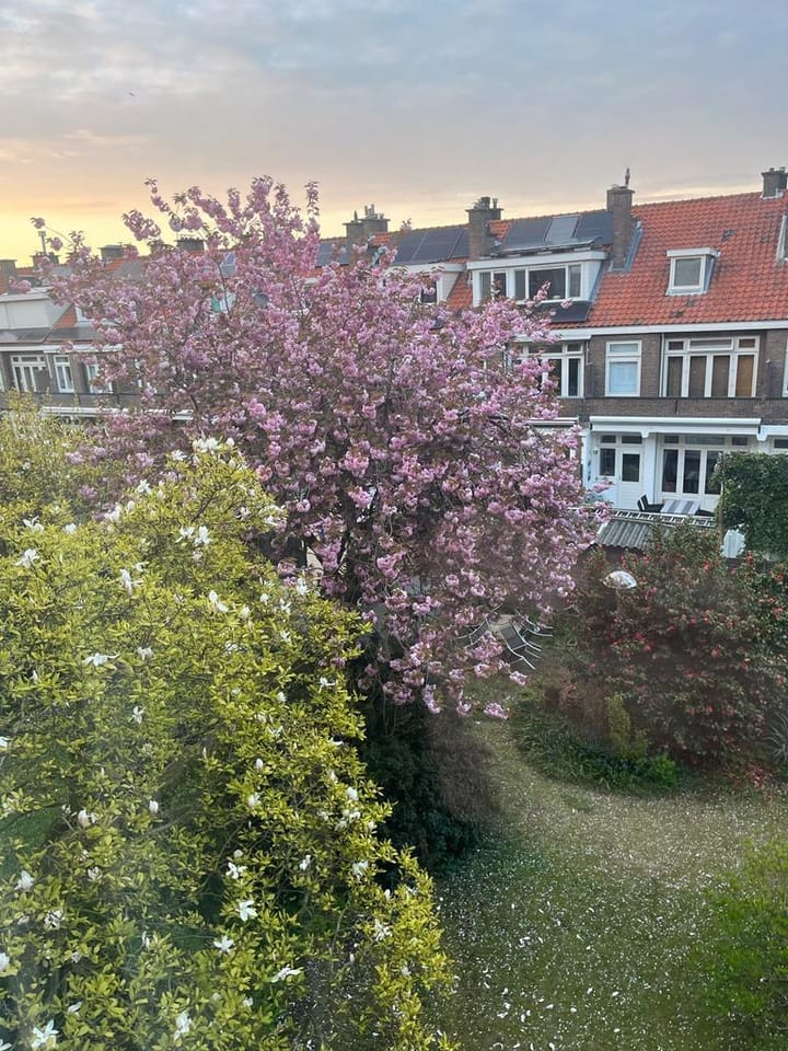 Foto 39 van Thorbeckelaan 545