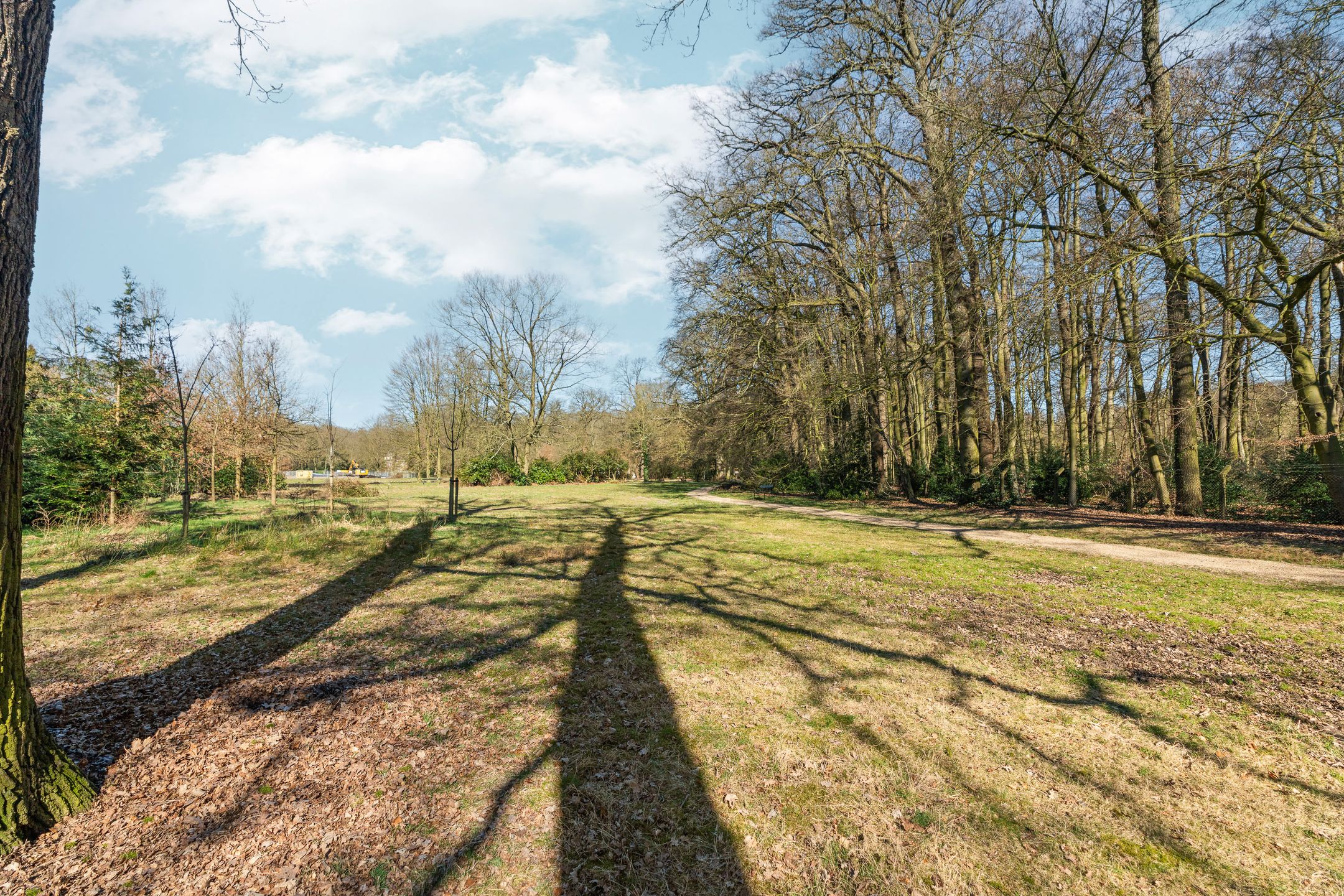 Foto 33 van Rosendaalsestraat 365