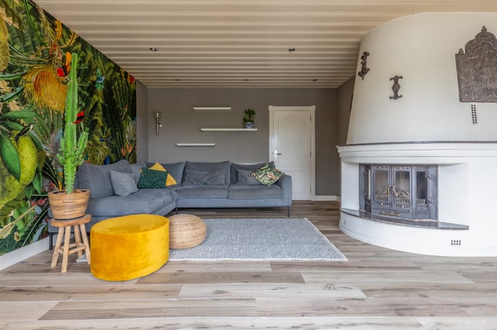 Foto 20 van Schotdeuren 2