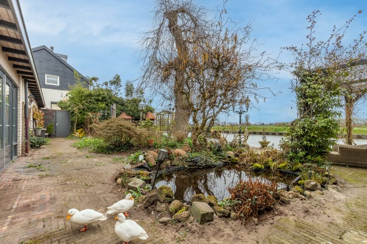 Foto 33 van Schotdeuren 2